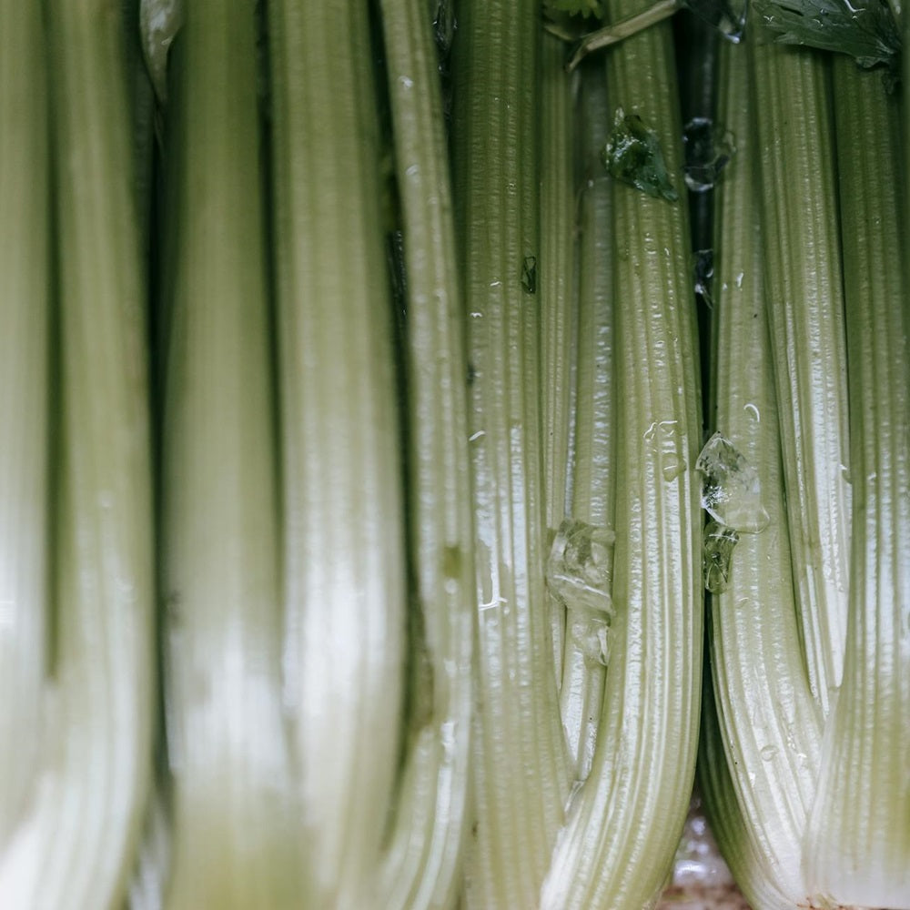 Celery (each)