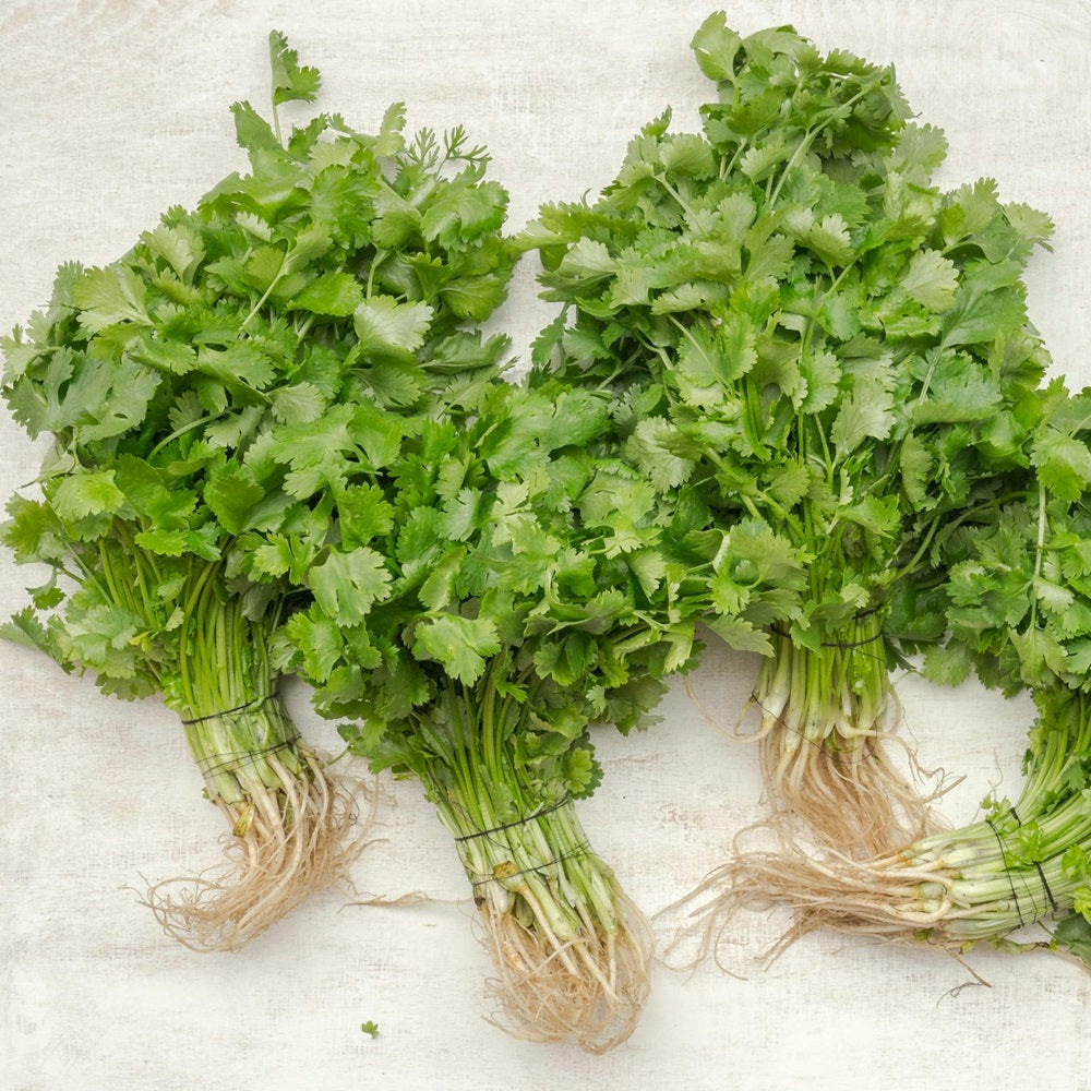 Coriander Loose (per kg)
