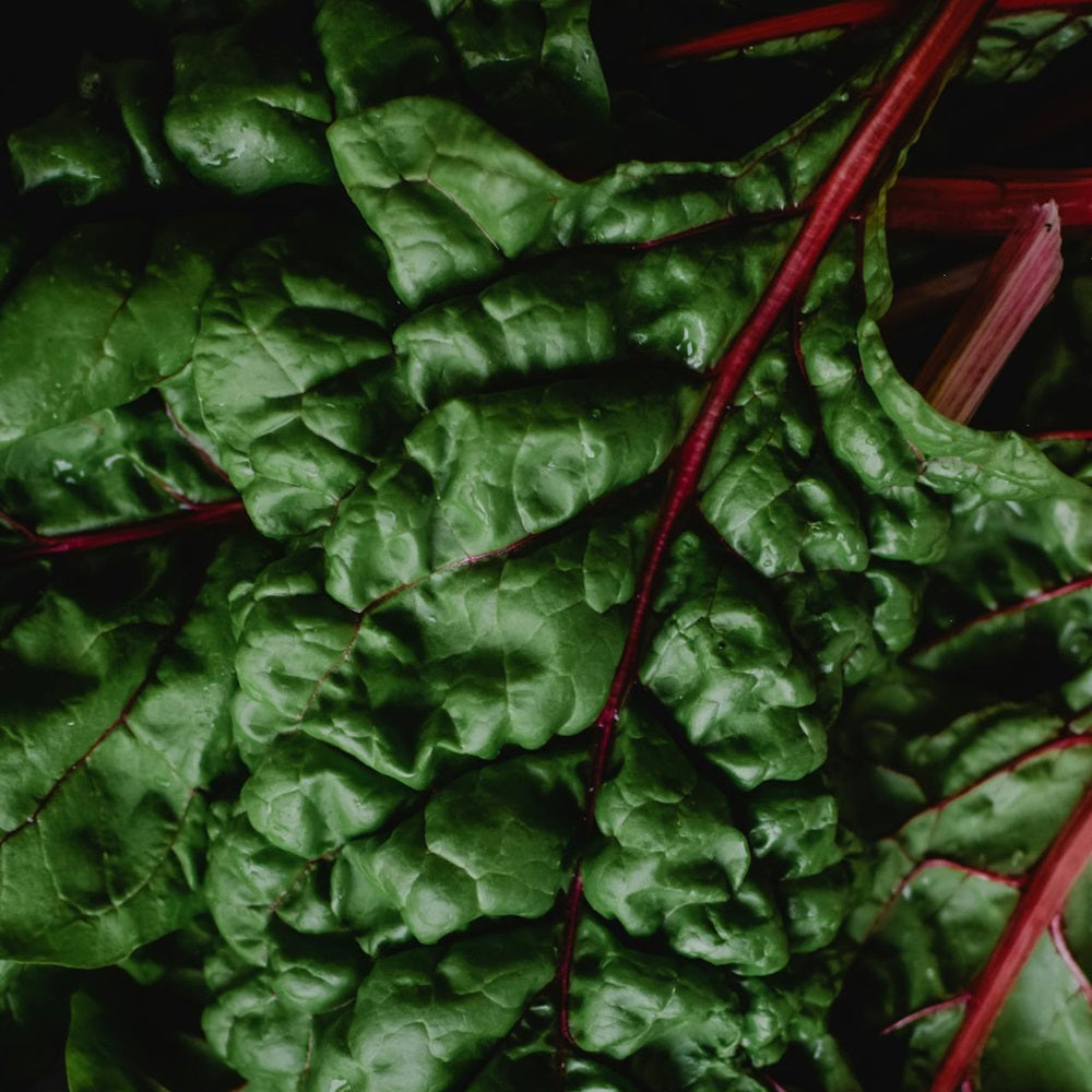 Silverbeet (bunch)