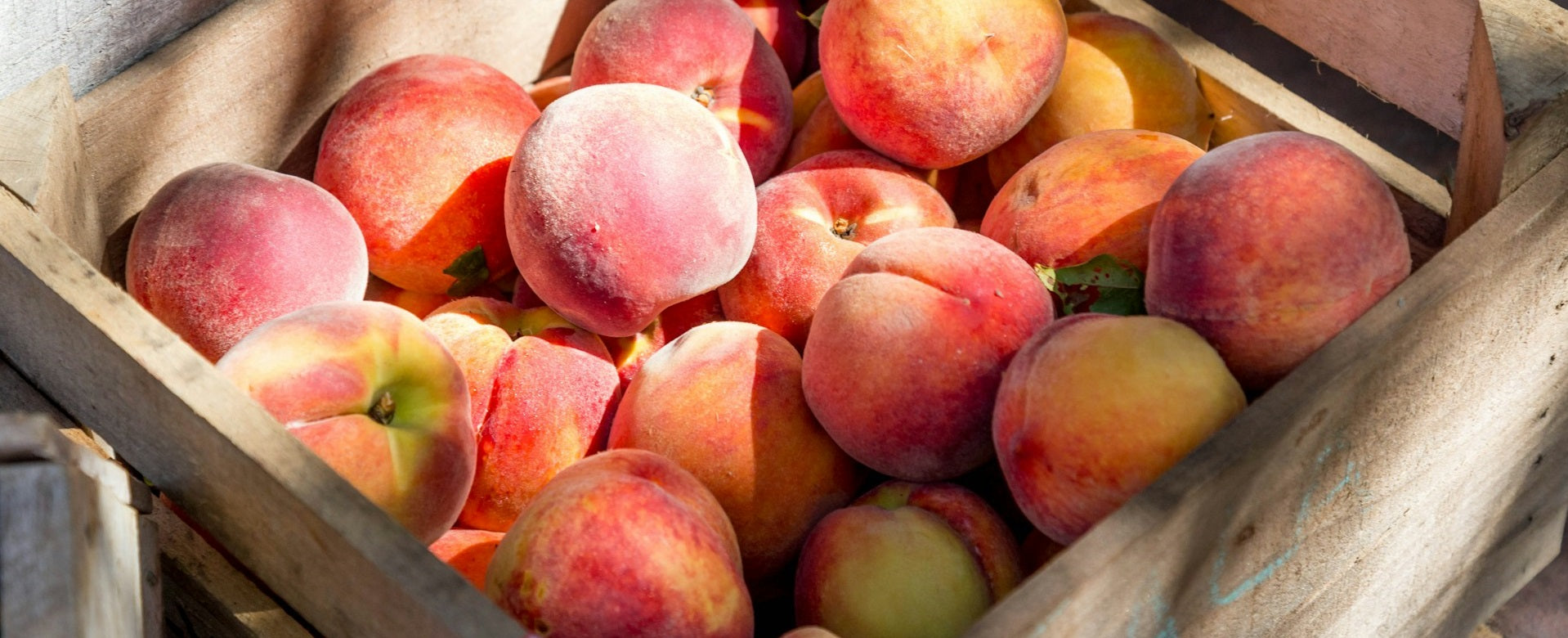 Fresh Fruits