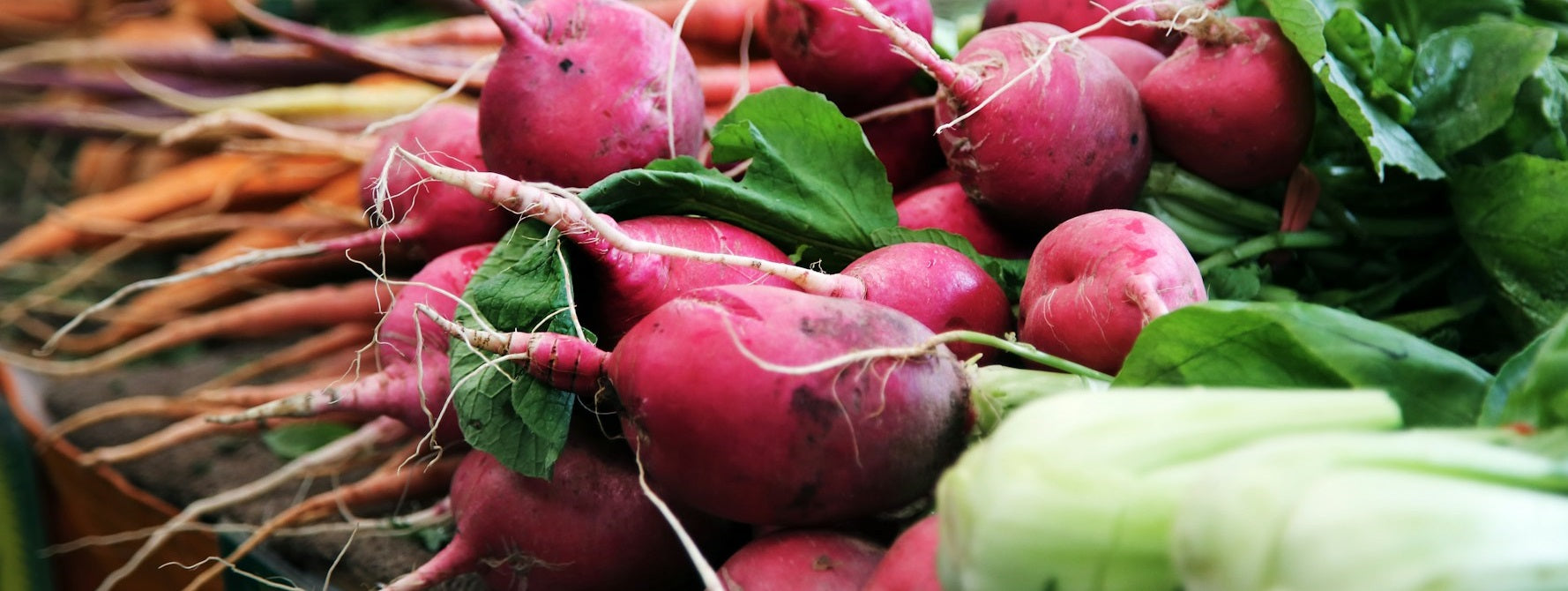 Fresh Local Vegetables