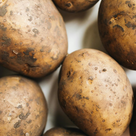 Jumbo Potato (20kg)