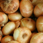 Brown Onions (10kg)