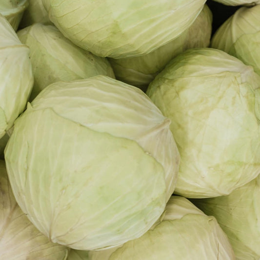 Cabbages (each)