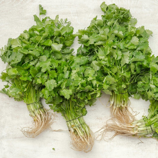 Coriander Loose (per kg)