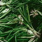 Spring Onion (bunch)